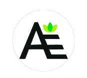 A1 Elevation Logo